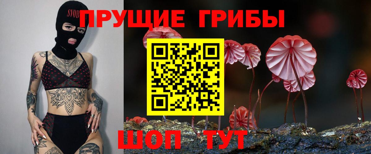 Псилоцибиновые грибы Magic Shrooms  Вход с VPN  цены   Невинномысск 